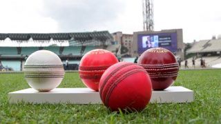 Pink Ball Could Behave a Lot Like White Ball, Says Umpire of Maiden Pink Ball Match in India
